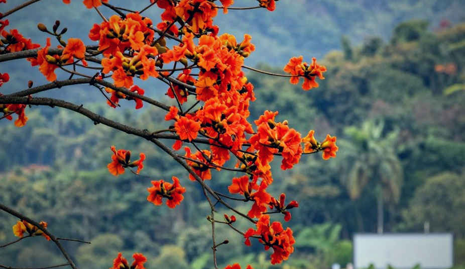 কোন ঘড়ির সময়? জাতীয় চ্যাম্পিয়নশিপের ফল থেকে বাংলাদেশ অ্যাথলেটিক্সের প্রকৃত অবস্থা পড়া